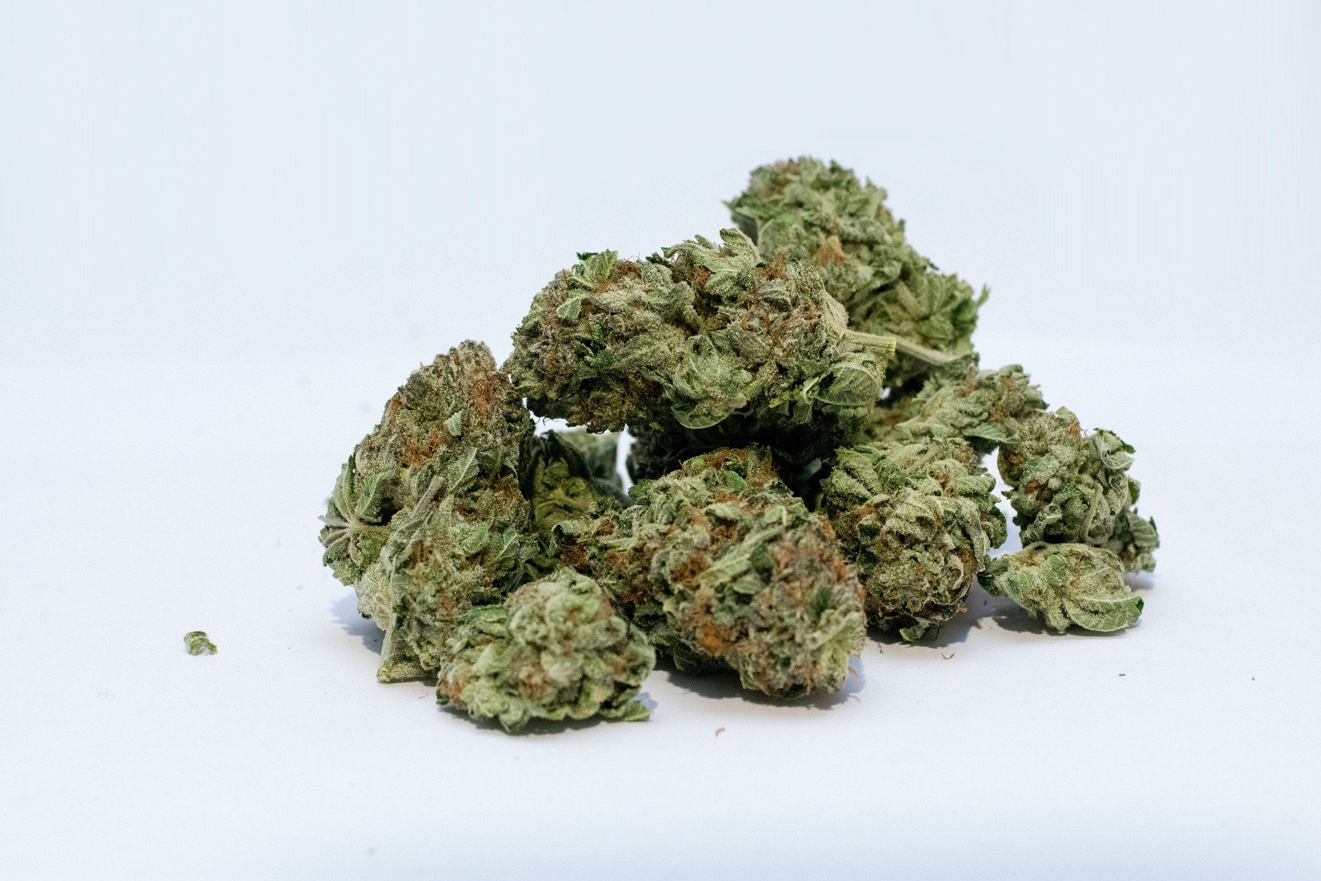 Guava Dub Star Marijuana Strain