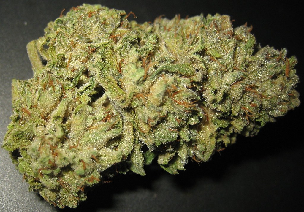 Kush IV Marijuana Strain